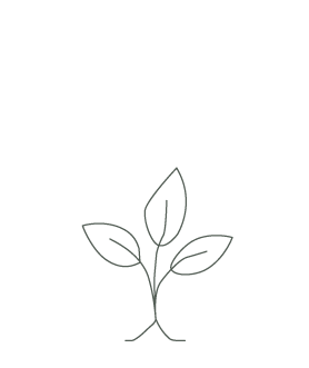 Step 02 — Prepare Your Soil