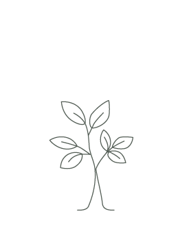 Step 03 — Sow Your Vision