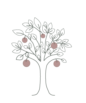 Step 04 — Harvest Your Fruit